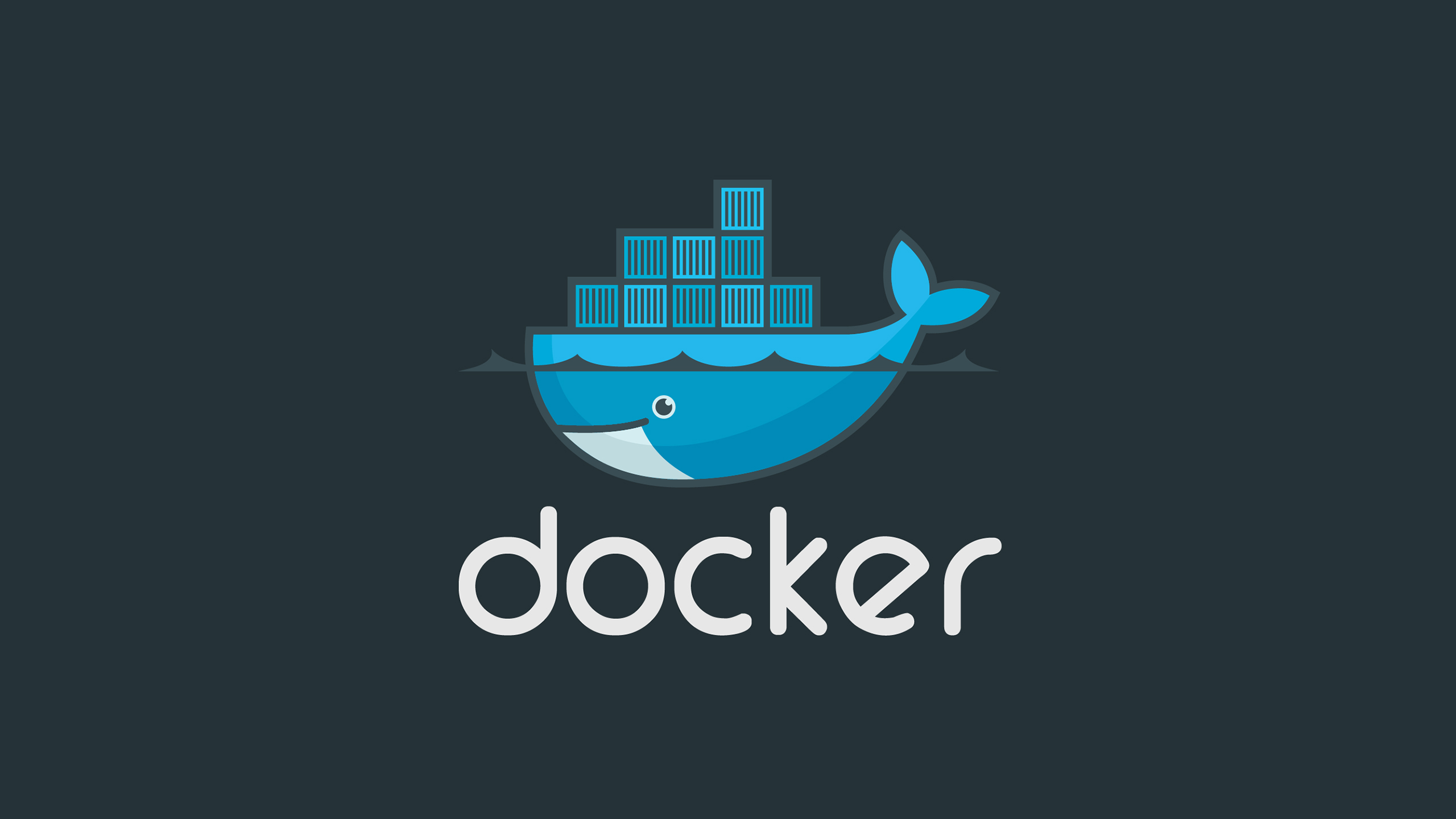 运维：Docker 容器和 Jenkins 持续集成